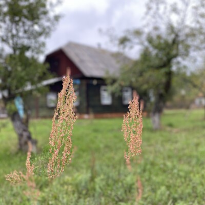 Дом-дача и своя банбка для отдыха за городом (до Бучи 30 км)