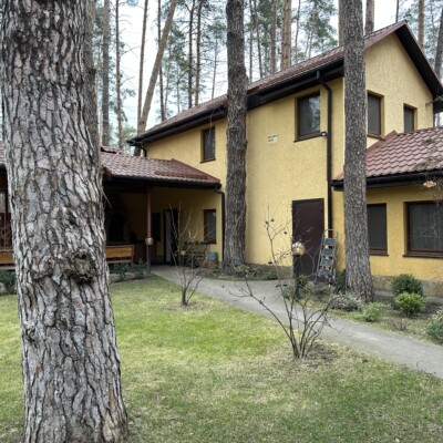 Аренда дома в Лесной Буче с участком 40 соток.