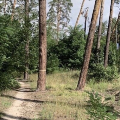 Участок под строительство под Киевом. Без комиссионных